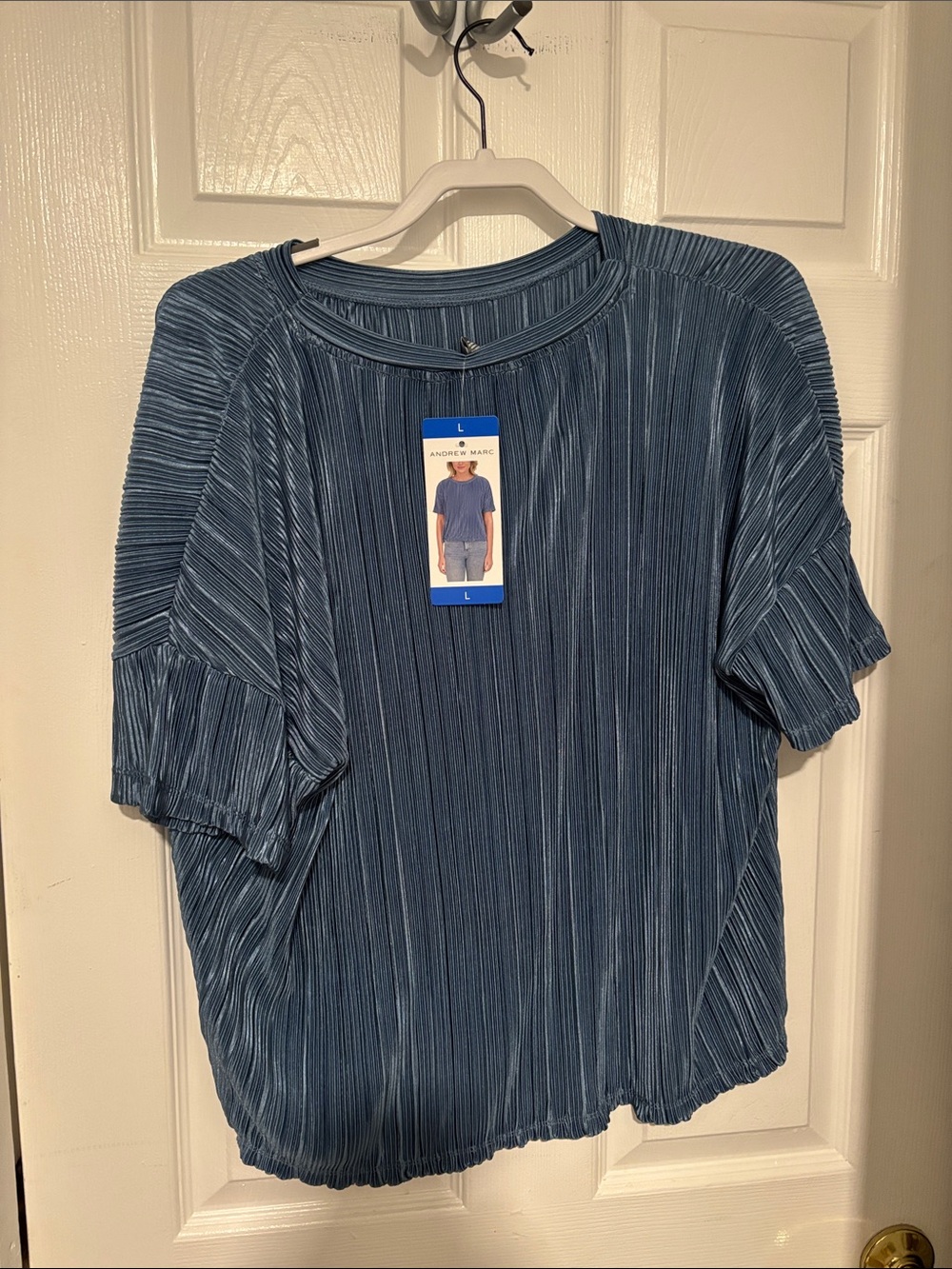 Pleated Short-Sleeve Top - Metallic Blue